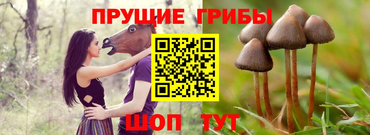 Псилоцибиновые грибы MAGIC MUSHROOMS  Вход с VPN  Вольск  Псилоцибиновые грибы мухоморы 